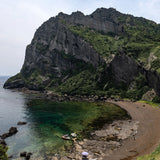 Jeju Sejak Green (2024 Organic)