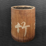 Bulang Bamboo Raw Pu-erh (2016)
