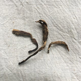 Mansa Tea | Amber Pu'er | Bangwei Ancient Tree Raw Pu'er | high quality aged pu'er or pu-erh tea, a type of post-fermented tea from Yunnan province, with aging potential of 40-60 years - image of pu'er tea or pu-erh tea leaves