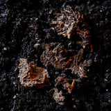 Menghai 2009 Ripe Pu Erh Loose Leaf
