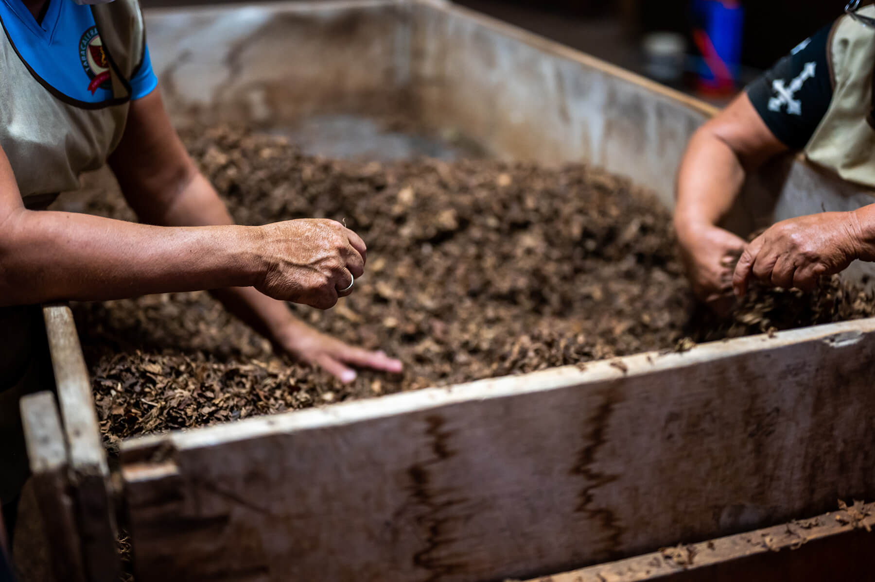 6 Easy Ways to Recycle Used Tea Leaves – Mansa Tea