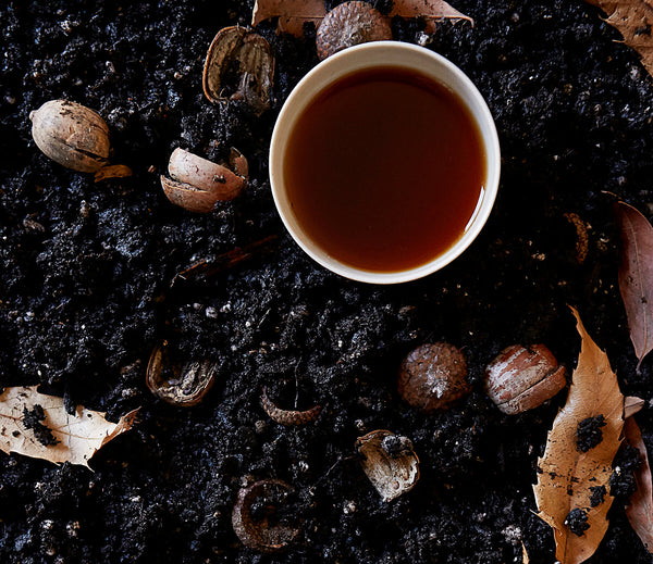 Complete Guide to Ancient Pu-erh Tea for Beginners