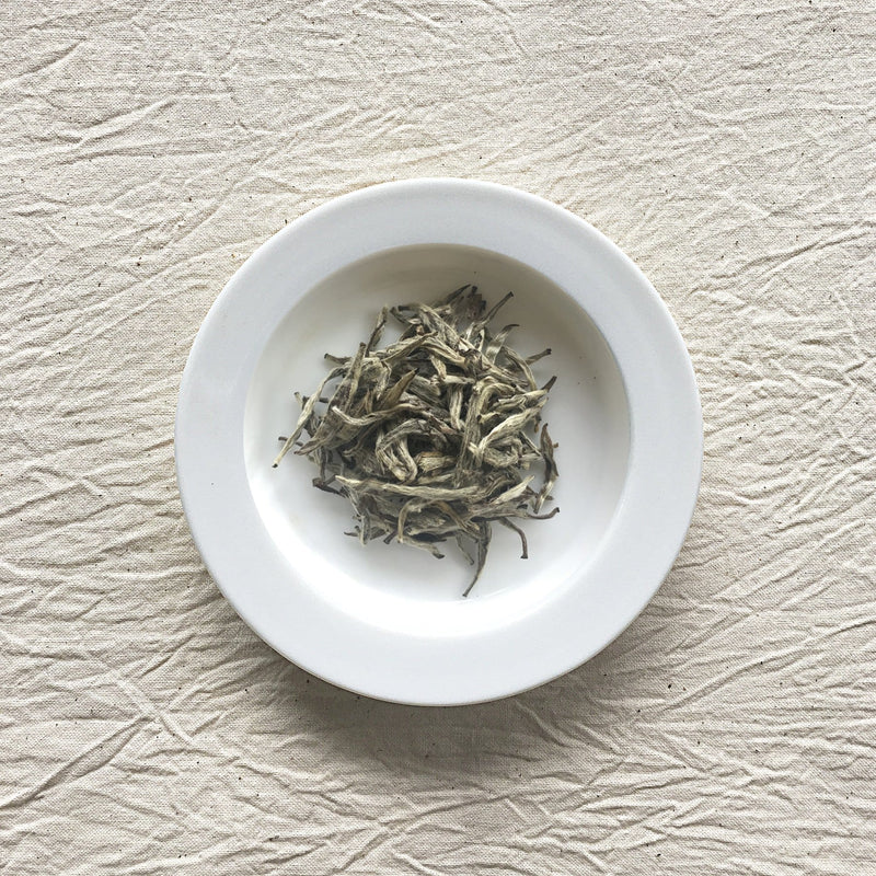 Mansa Tea | Pearl White | Fuding Silver Needle | high quality aged white tea from Fujian province - image of aged white tea on a plate